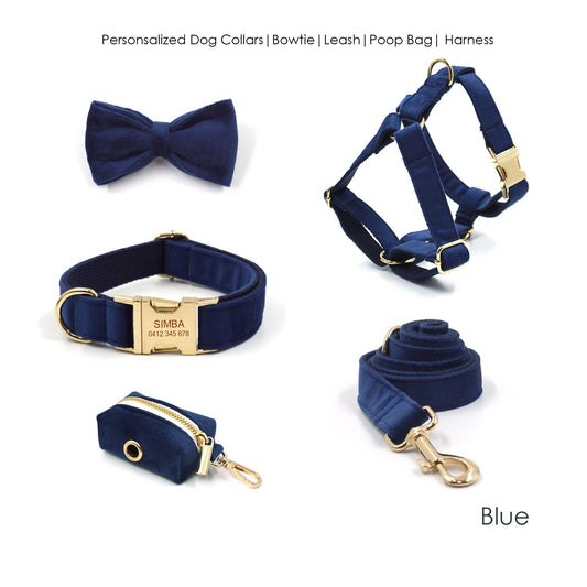 Custom Navy Blue Gold Personalised Dog Combo