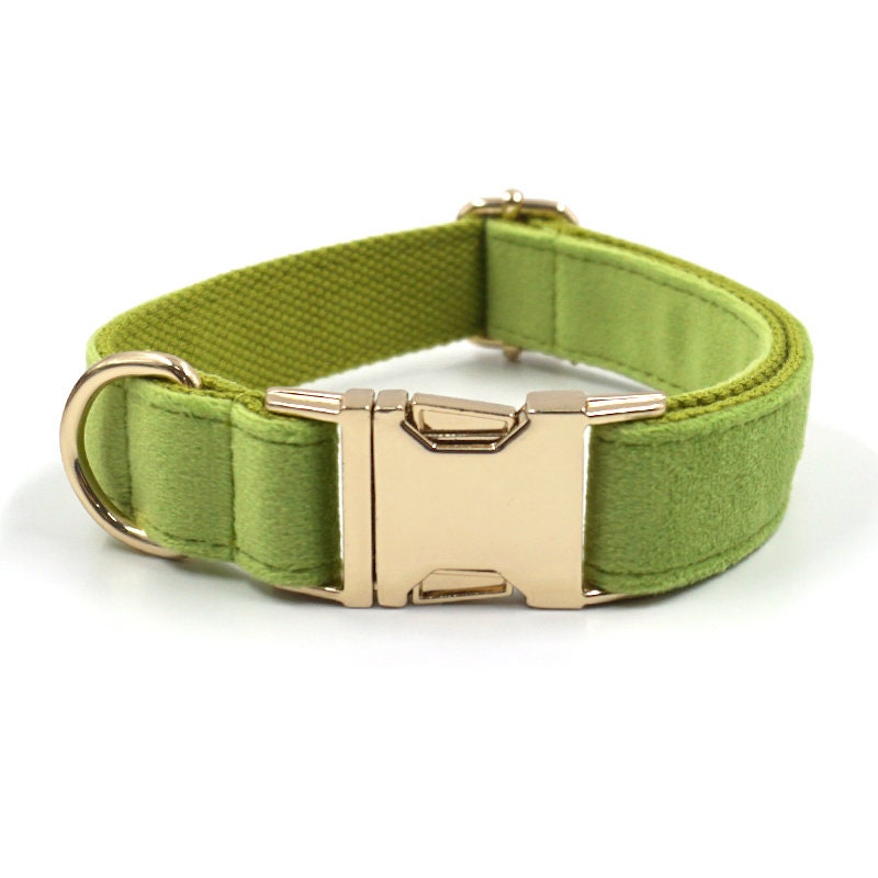 Personalised Green Matcha Dog Collar in