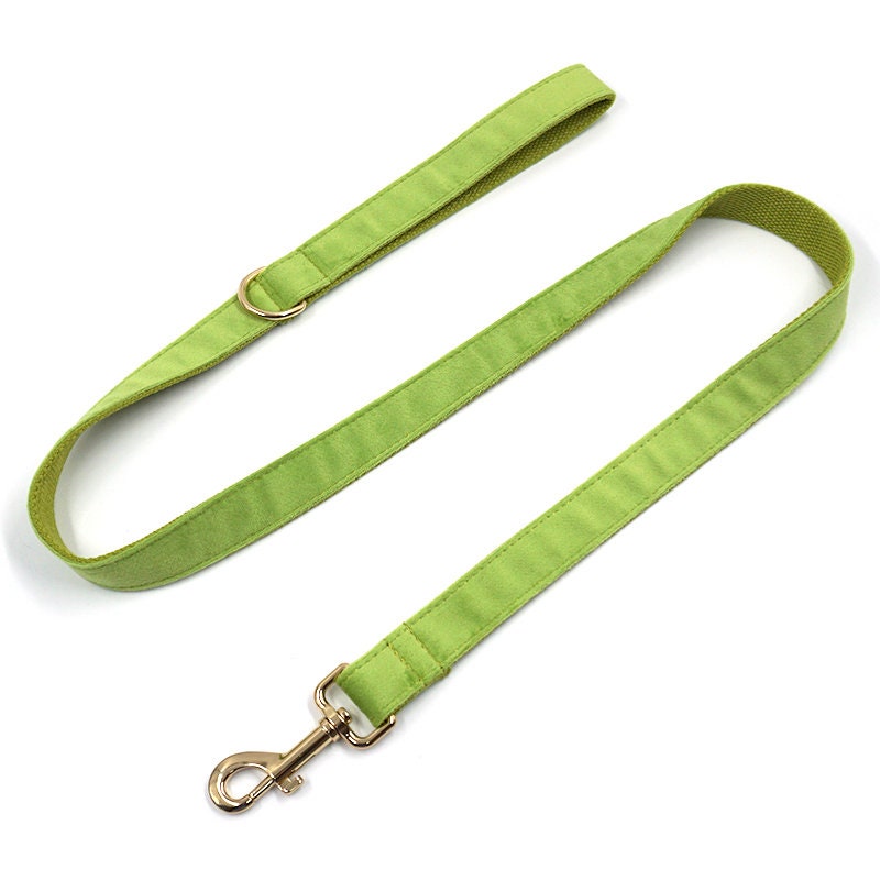 Personalised Green Matcha Dog Collar in