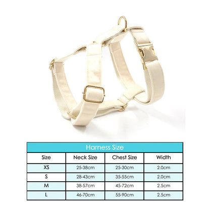 Cream White Dog Matching Combo Set