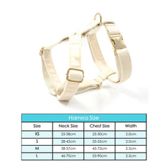 Cream White Dog Matching Combo Set