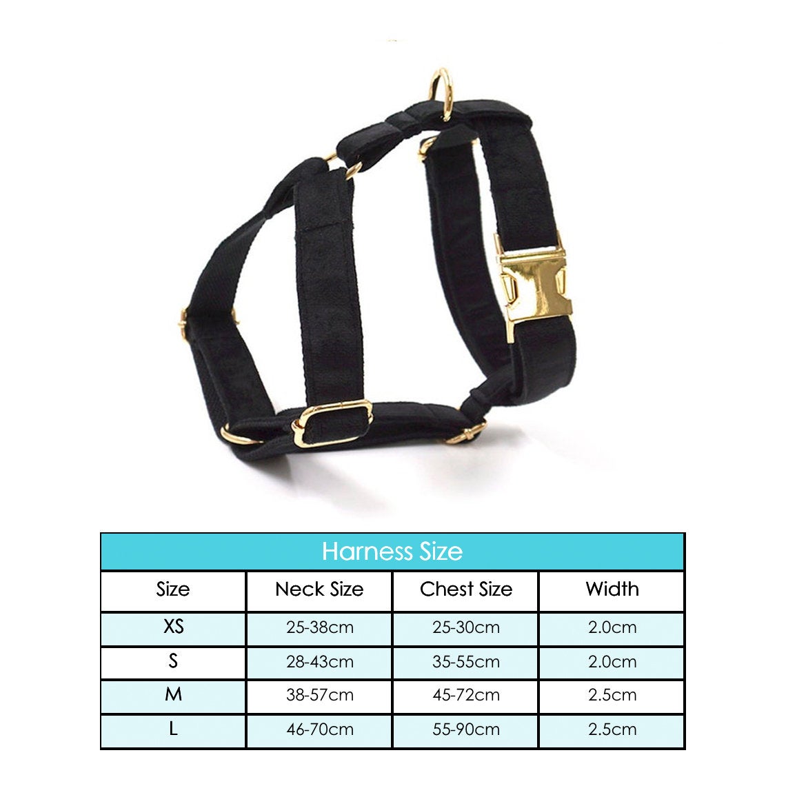Black Personalised Dog Collar Combo Set