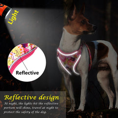 Pink Floral Autumn Dog Collar Leash Set with Bowtie and Harness