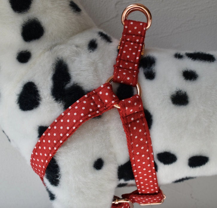 Personalised Thick Velvet Camel Color Dog Collar or Dog Collar and Lead Set