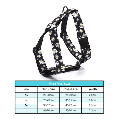 Personalised Black Daisy Custom Dog Collar Combo Set