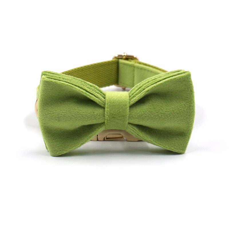 Personalised Green Matcha Dog Collar in