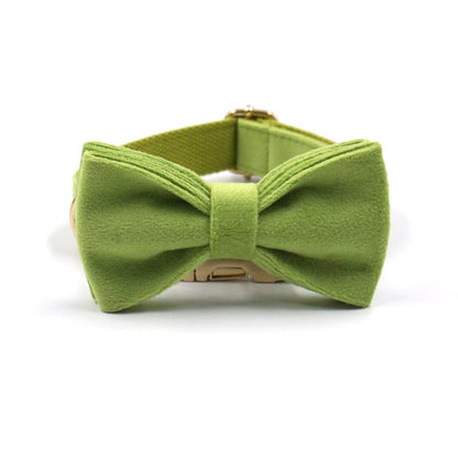 Personalised Green Matcha Dog Collar in