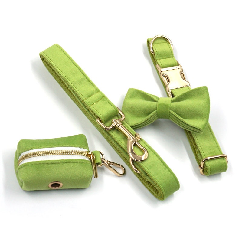 Personalised Green Matcha Dog Collar in