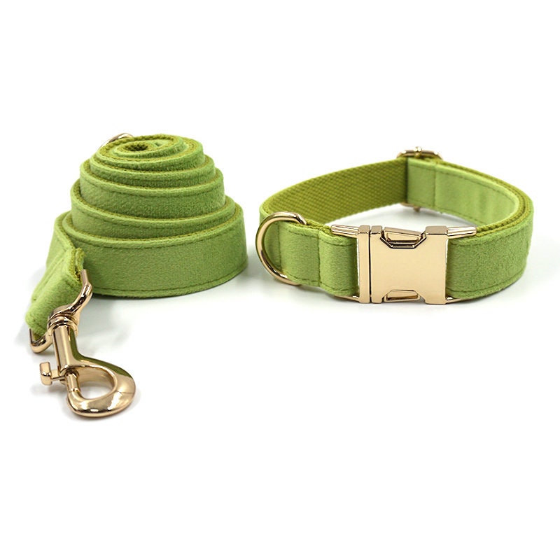 Personalised Green Matcha Dog Collar in