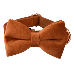 Personalized Engraved Handmade Thick Velvet Camel Color Dog Collar or Dog Collar and Lead Set, Matching Bowtie and Harness Available