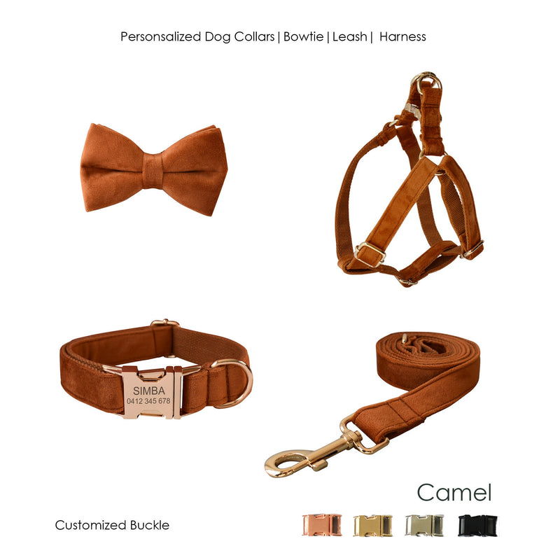 Personalized Engraved Handmade Thick Velvet Camel Color Dog Collar or Dog Collar and Lead Set, Matching Bowtie and Harness Available