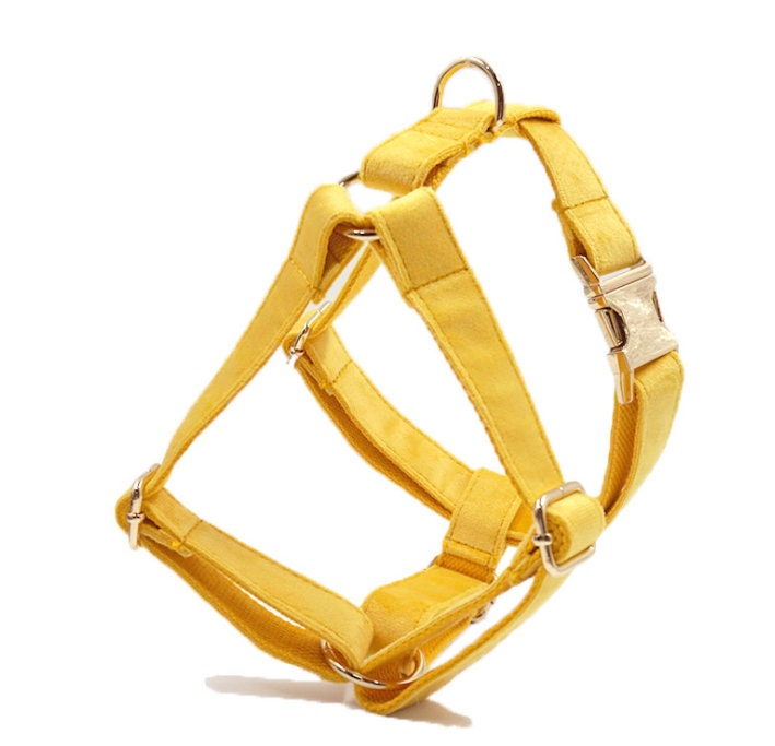 Custom Thick Velvet Yellow Personalised Dog Collar in