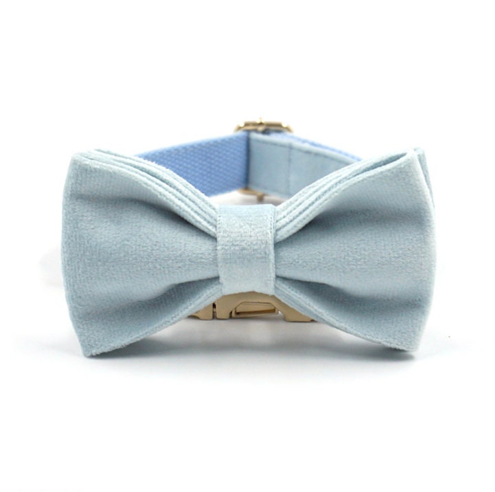 Custom Baby Blue Velvet Personalised Dog Collar, Matching Dog Bowtie, Dog Leash, Dog Harness and Dog Poop Bag