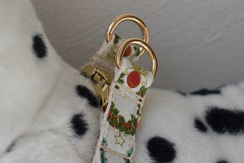 Personalised Christmas Dog Collar or Dog Collar and Lead Set