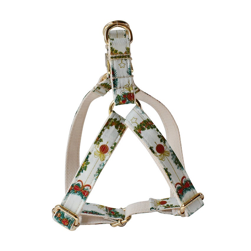 Personalised Christmas Dog Collar or Dog Collar and Lead Set