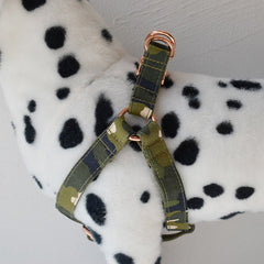 Personalized Engraved Handmade Camouflage Dog Collar or Dog Collar and Lead Set, Matching Bowtie and Step-in Harness Available
