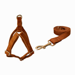 Personalized Engraved Handmade Thick Velvet Camel Color Dog Collar or Dog Collar and Lead Set, Matching Bowtie and Harness Available