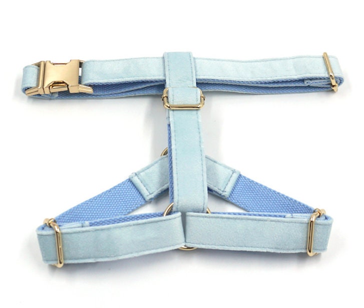 Custom Baby Blue Velvet Personalised Dog Collar, Matching Dog Bowtie, Dog Leash, Dog Harness and Dog Poop Bag