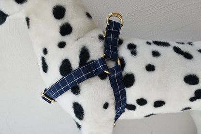 Personalised Blue Plaid Dog Collar or Dog Collar and Lead Set