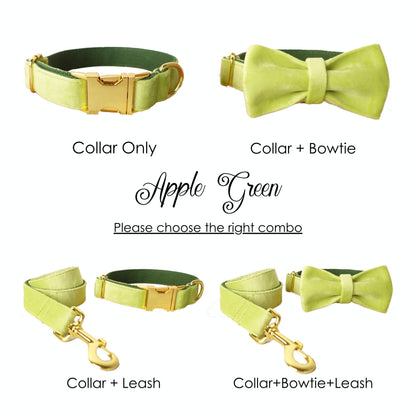 Personalised THICK Velvet dog collar, Leash Set, Bowtie Colors available Apple Green, Rose gold & Sky Blue
