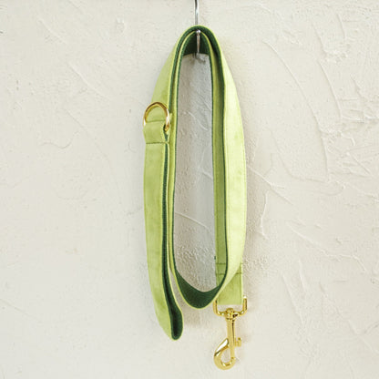 Personalised THICK Velvet dog collar, Leash Set, Bowtie Colors available Apple Green, Rose gold & Sky Blue