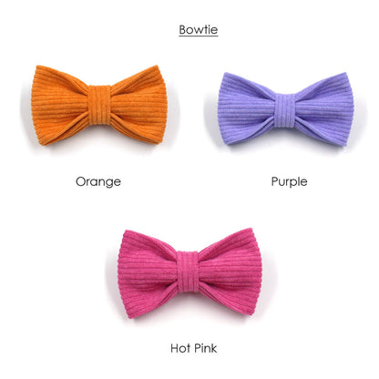 Personalised Pink Purple Orange Corduroy Dog Collar, Lead, Harness Set, Dog Bowtie