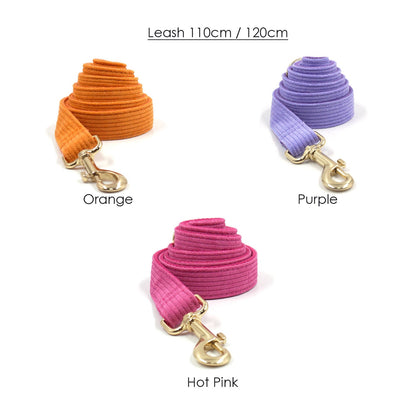 Personalised Pink Purple Orange Corduroy Dog Collar, Lead, Harness Set, Dog Bowtie