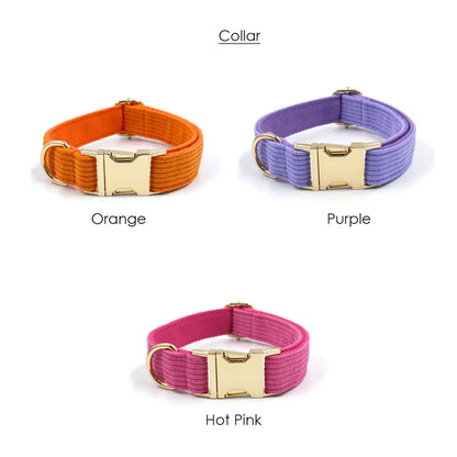 Personalised Pink Purple Orange Corduroy Dog Collar, Lead, Harness Set, Dog Bowtie