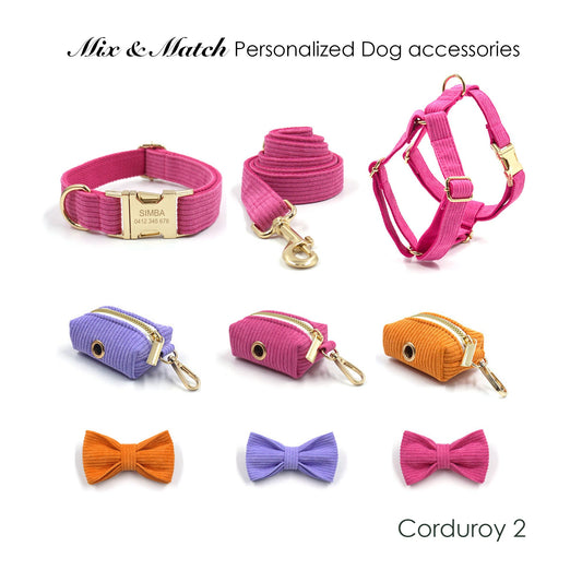 Personalised Pink Purple Orange Corduroy Dog Collar, Lead, Harness Set, Dog Bowtie
