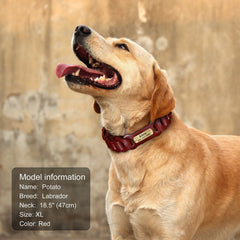 Laser Engraved Genuine Leather Braided Dog Collar for Large dogs
