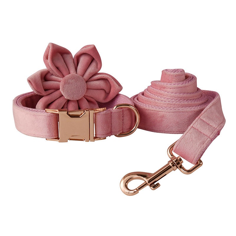 Personalised Pink Thick Velvet Dog Collar or Dog Collar and Lead Set