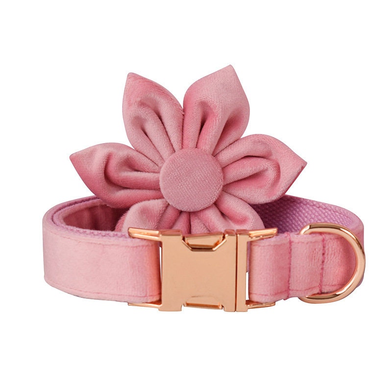 Personalised Pink Thick Velvet Dog Collar or Dog Collar and Lead Set