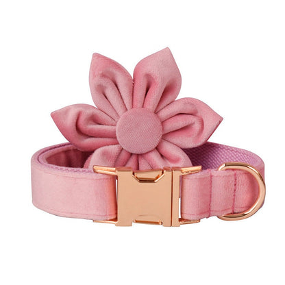 Personalised Pink Thick Velvet Dog Collar or Dog Collar and Lead Set
