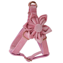Personalized Engraved Handmade Pink Thick Velvet Dog Collar or Dog Collar and Lead Set, Matching Bowtie and Flower Step In Harness Available