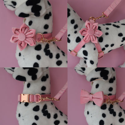 Personalised Pink Thick Velvet Dog Collar or Dog Collar and Lead Set