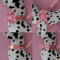 Personalized Engraved Handmade Pink Thick Velvet Dog Collar or Dog Collar and Lead Set, Matching Bowtie and Flower Step In Harness Available