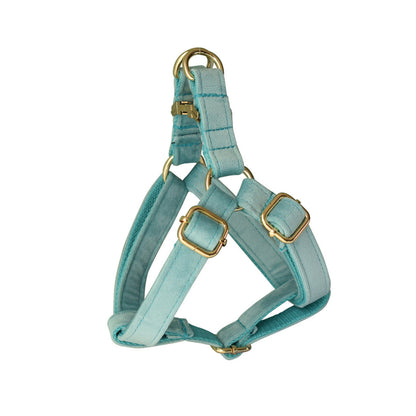 Aqua Thick Velvet Dog Collar and Lead Set and Harness Combo