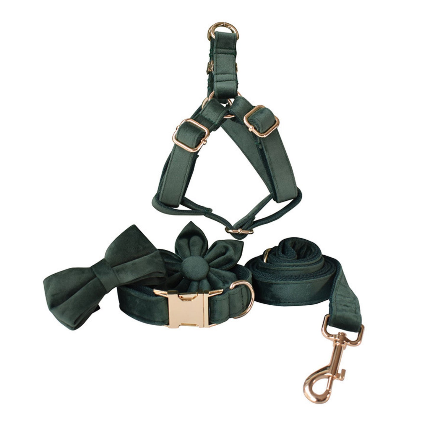 Personalised FOREST GREEN Thick Velvet Dog Collar or Dog Collar and Lead Set, Matching Bowtie and Flower Step In Harness