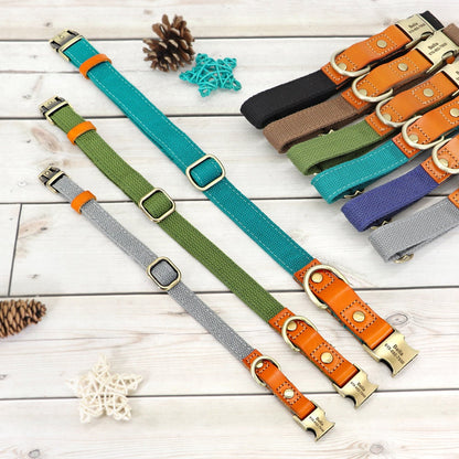 Nylon and Cow Leather Dog Collar with Matching 5ft Leash