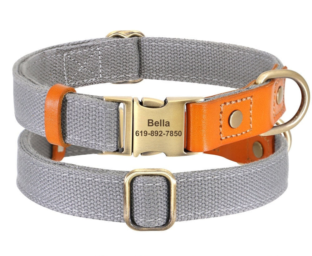 Nylon and Cow Leather Dog Collar with Matching 5ft Leash