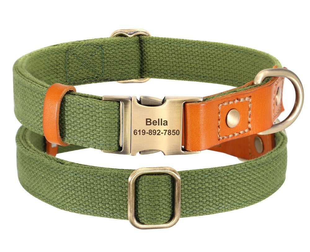 Nylon and Cow Leather Dog Collar with Matching 5ft Leash