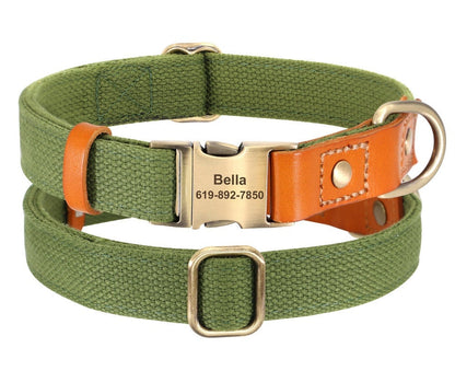 Nylon and Cow Leather Dog Collar with Matching 5ft Leash