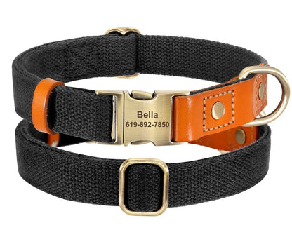 Nylon and Cow Leather Dog Collar with Matching 5ft Leash