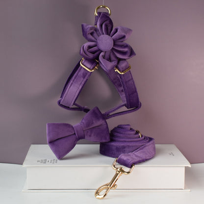 Purple Personalised Dog Collar Combo Set, Matching Bowtie, Leash and Harness