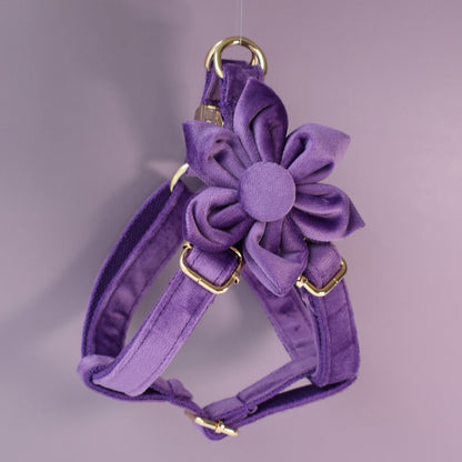 Purple Personalised Dog Collar Combo Set, Matching Bowtie, Leash and Harness