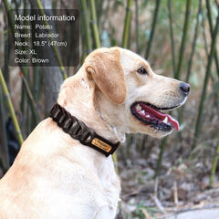 Laser Engraved Genuine Leather Braided Dog Collar for Large dogs
