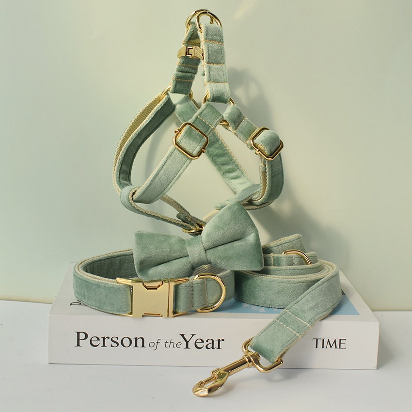 Personalised MINT GREEN Thick Velvet Girl or Boy Dog Collar, Harness, and Leash Set with Detachable Matching Bowtie Flower