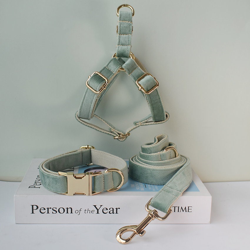 Personalised MINT GREEN Thick Velvet Girl or Boy Dog Collar, Harness, and Leash Set with Detachable Matching Bowtie Flower