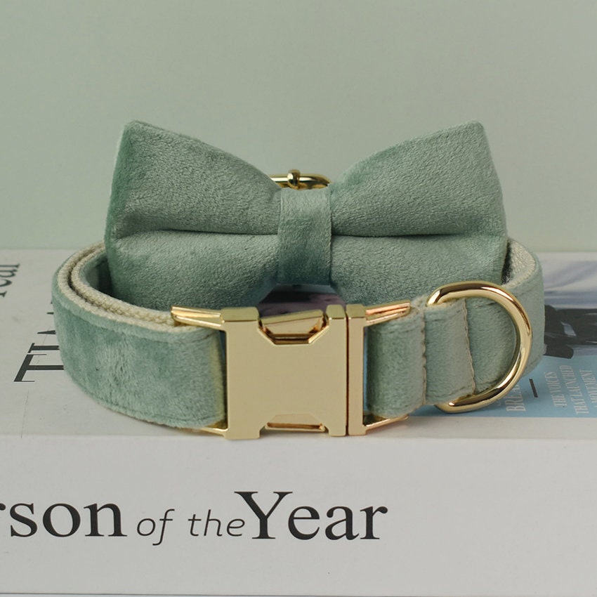 Personalised MINT GREEN Thick Velvet Girl or Boy Dog Collar, Harness, and Leash Set with Detachable Matching Bowtie Flower