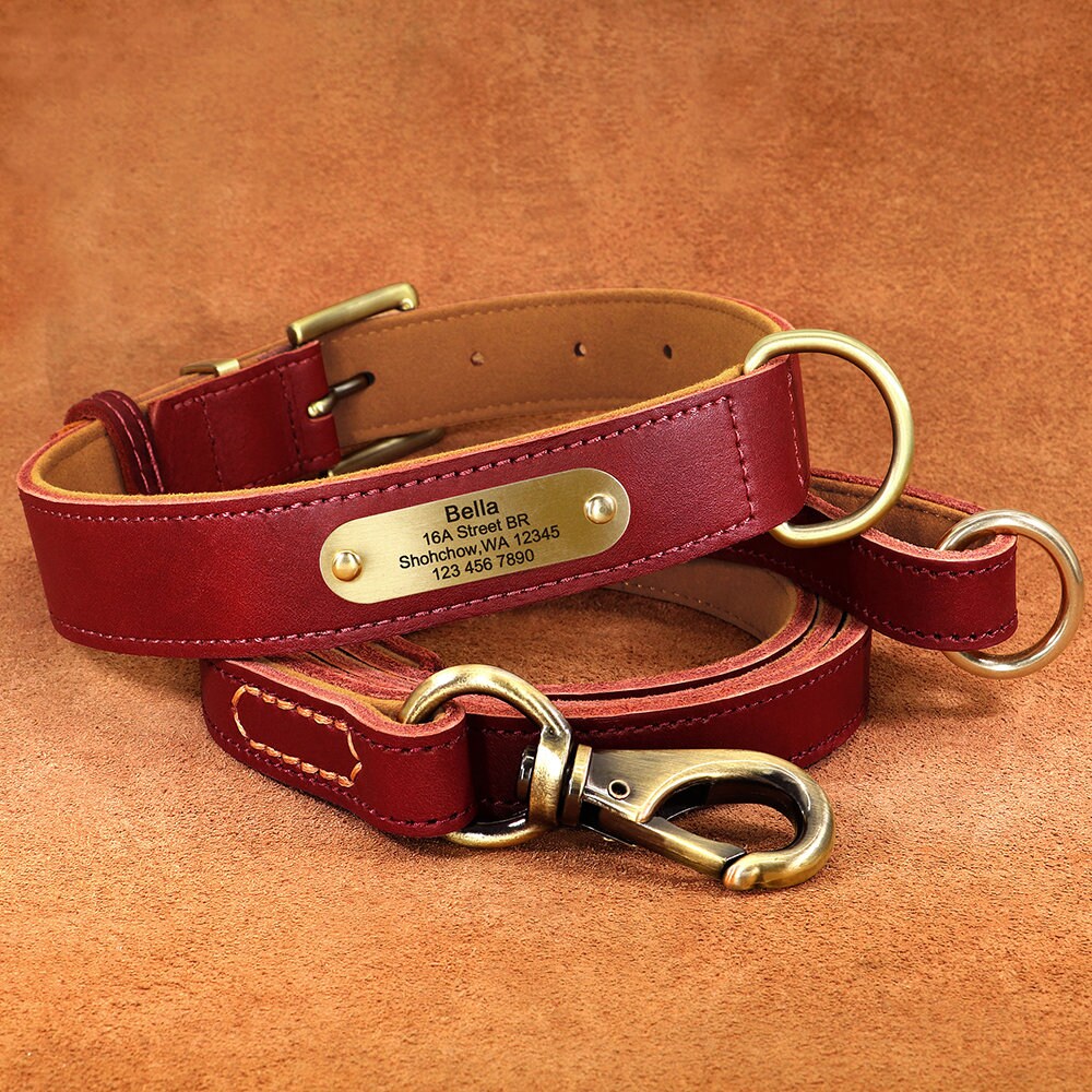 Upgraded Genuine Leather Personalised Dog Collar with Name Plate and Matching Leash